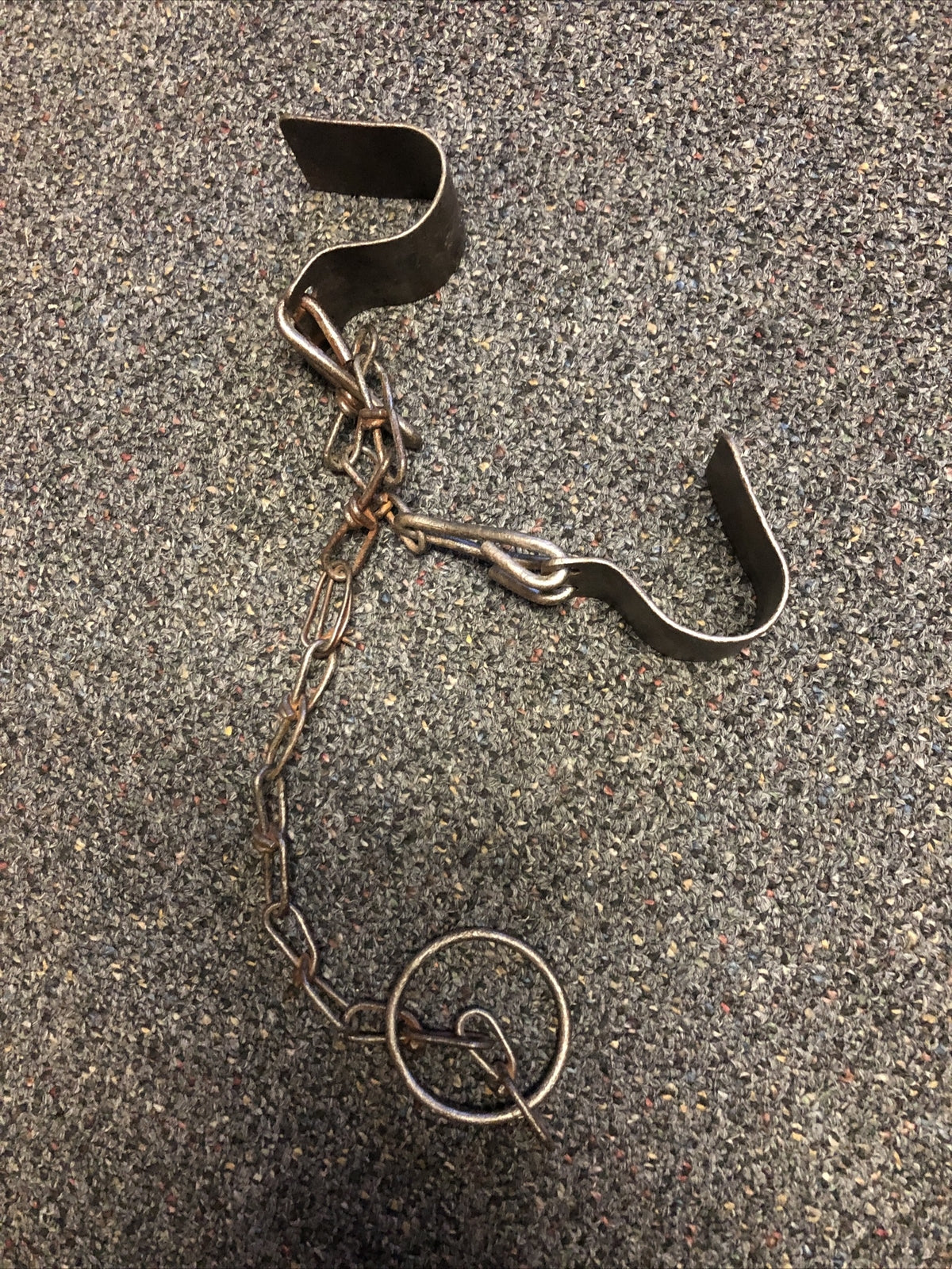 Antique Cow Hobbles Kickers Iron Chains Early 1900's1