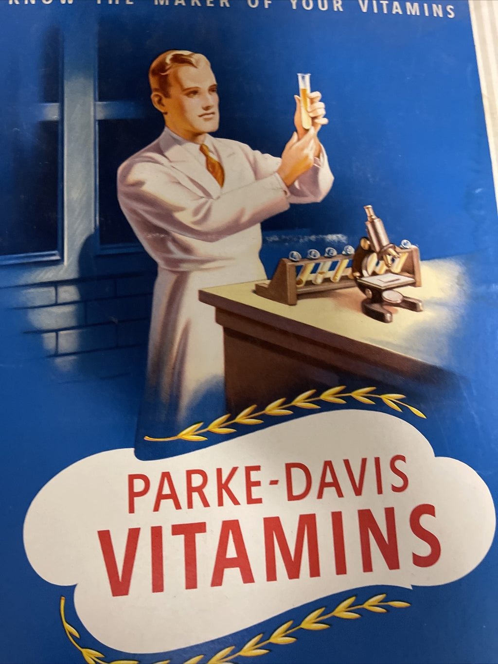 Vintage Antique 1940s General Store Display Sign Parks Davis Vitamins 31”x13”1