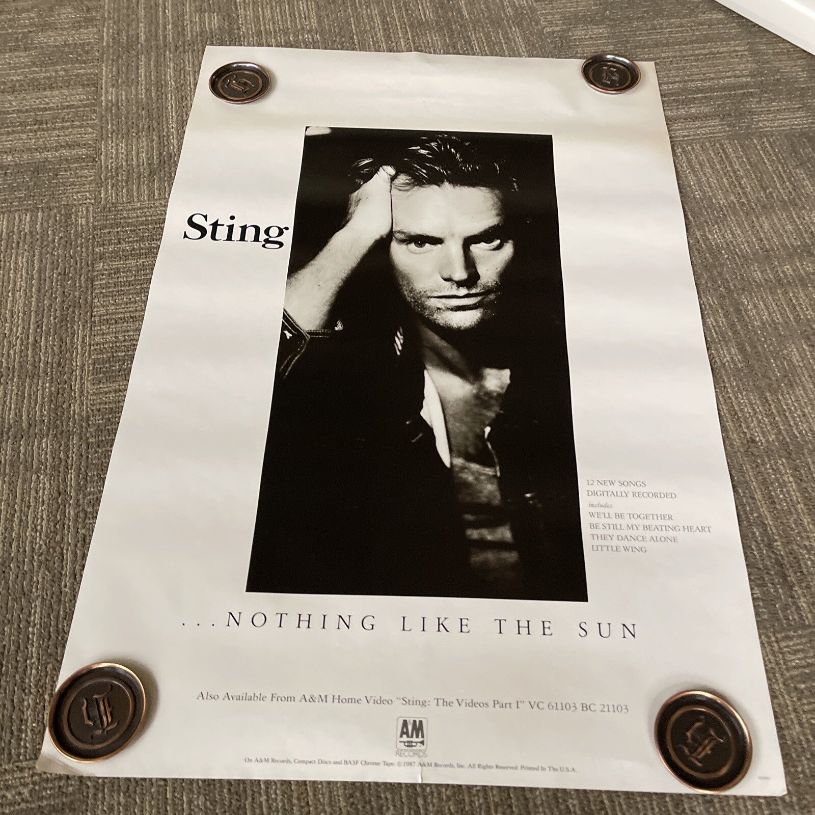 #161 1987 Sting Record Store promo poster Nothing Like The Sun 24” X 36”0