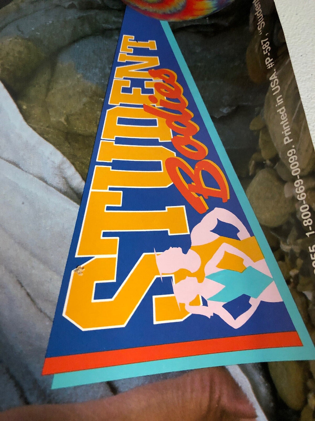 1988 Student Badies In Sexy BIKINI Beach Bods National Trends 23x35 POSTER2