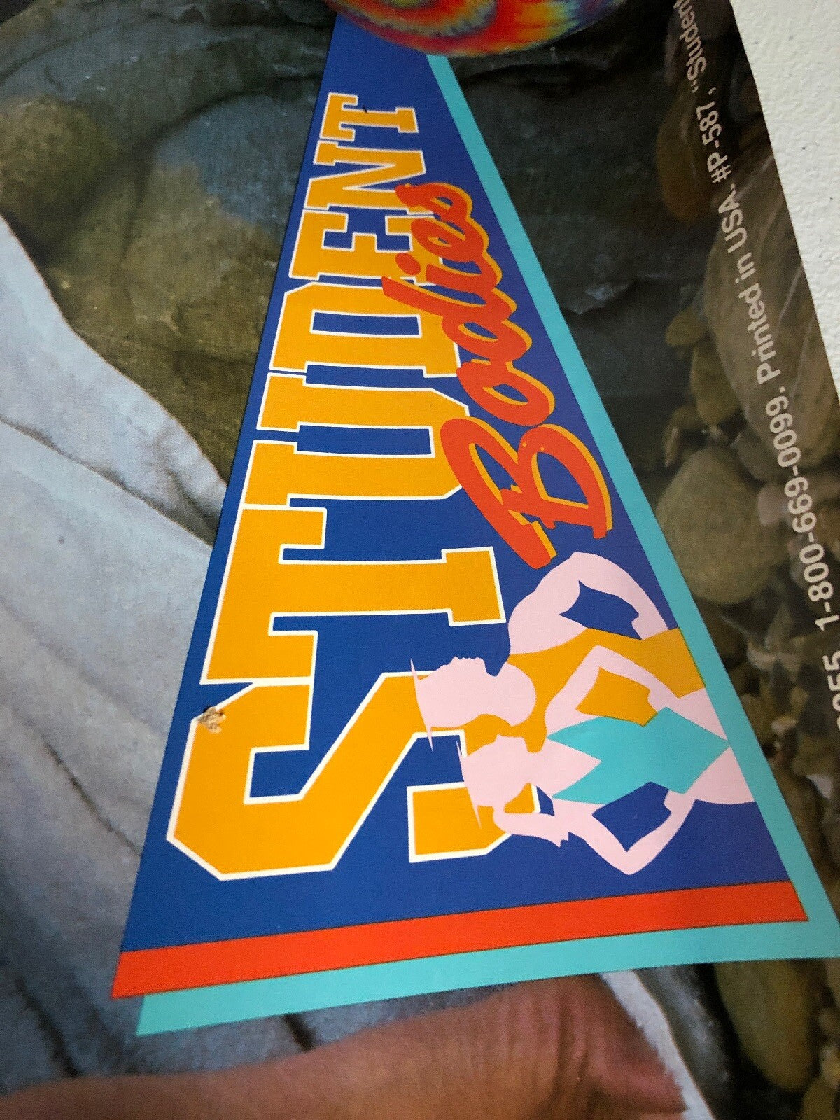 1988 Student Badies In Sexy BIKINI Beach Bods National Trends 23x35 POSTER2