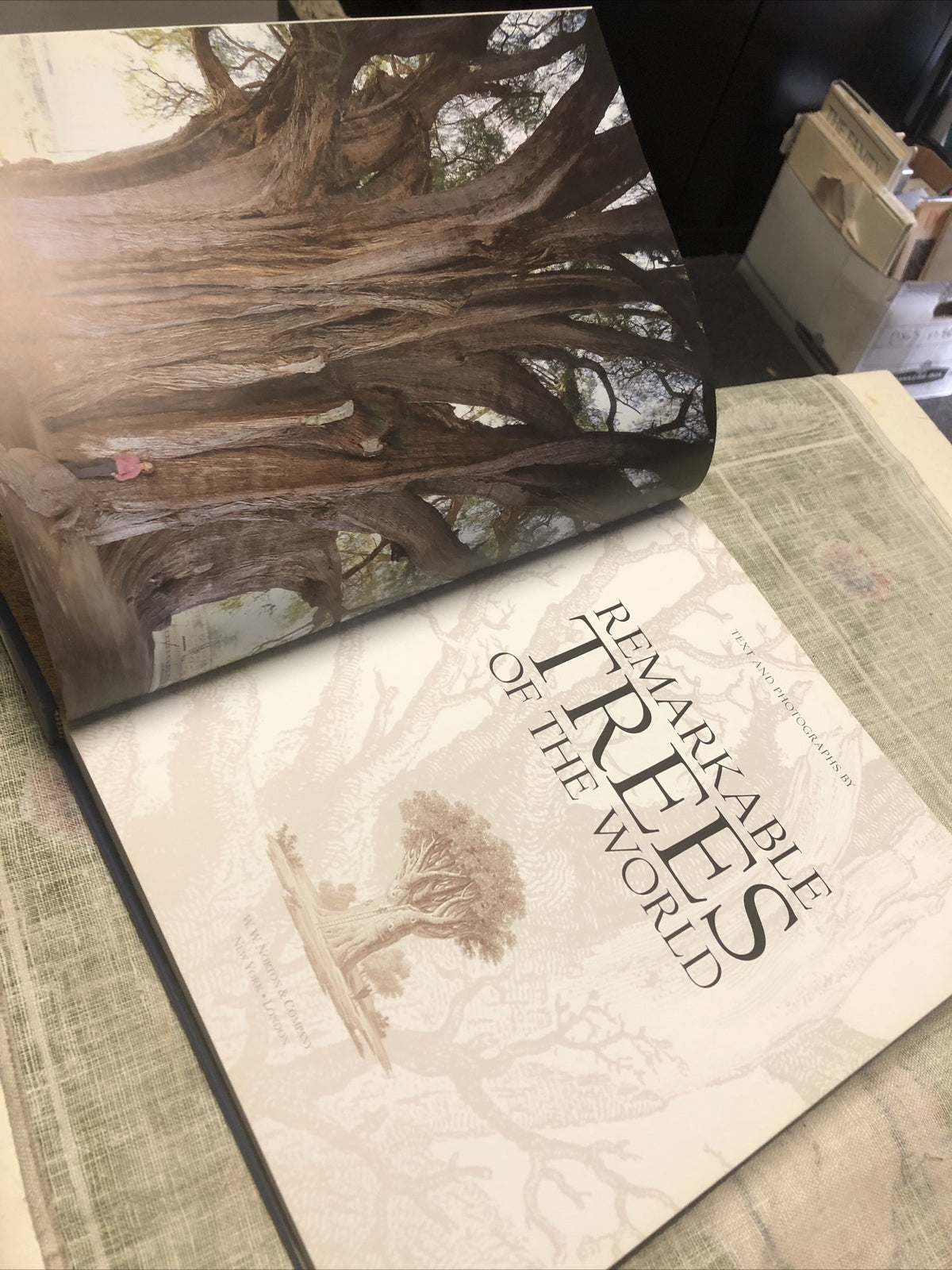 Remarkable Trees of the World by Thomas Pakenham (2002, Hardcover)3