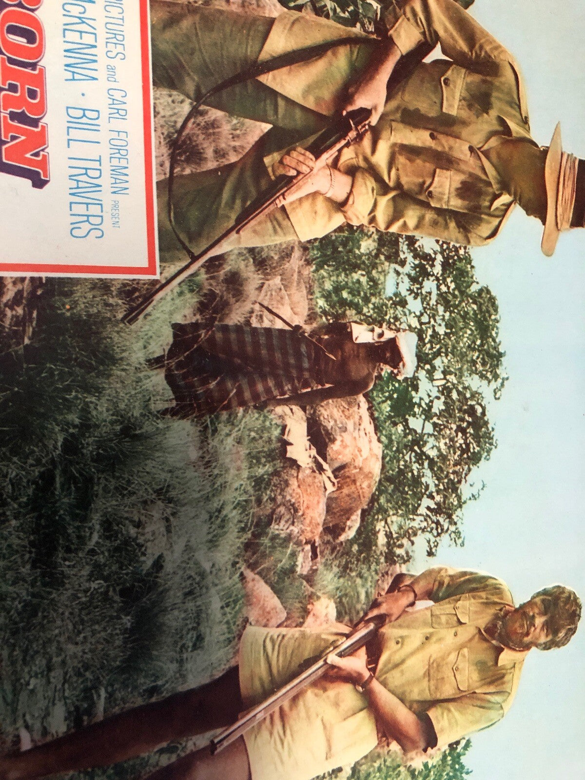 Born Free Photography Carl Foreman Virginia McKenna Bill Travers Lion Hunt3