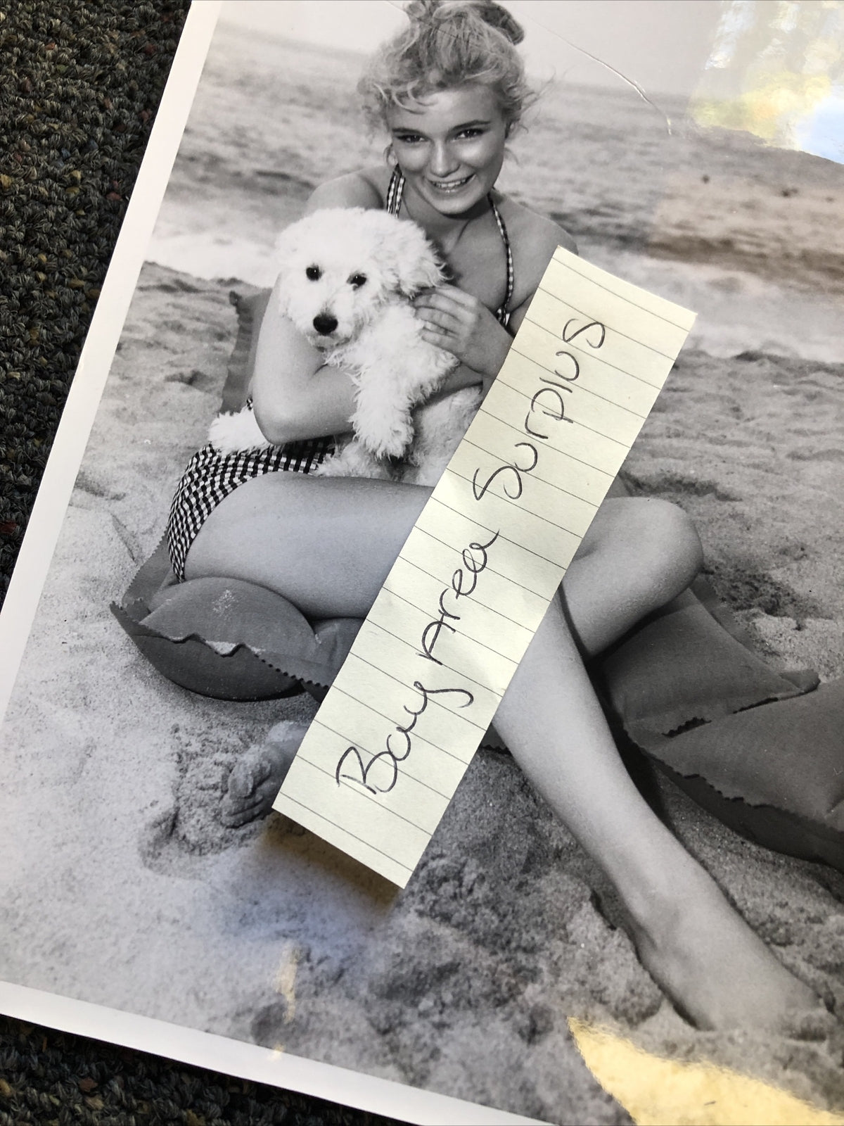 RARE Original Unpublished Photo Of Yvette Mimieux W/ Puppy At The Beach 10”x8”5