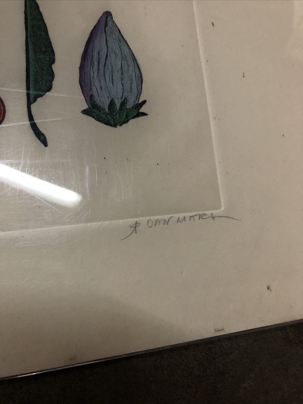 Dan Mitra Signed Etching Numbered 559/750 - 36”x16.5”3