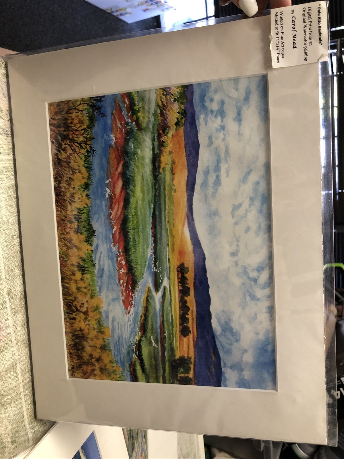Digital Print From Watercolor Painting By Carol Mead 11x14” (Palo Alto Baylands)0