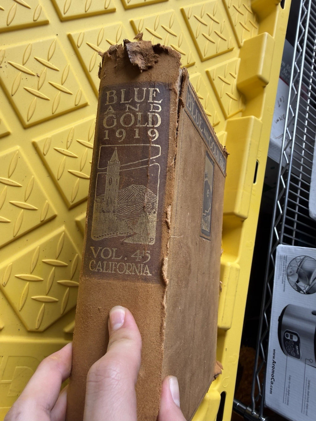 1919 Blue and Gold University of California Berkeley UC Berkeley Yearbook Vol 454