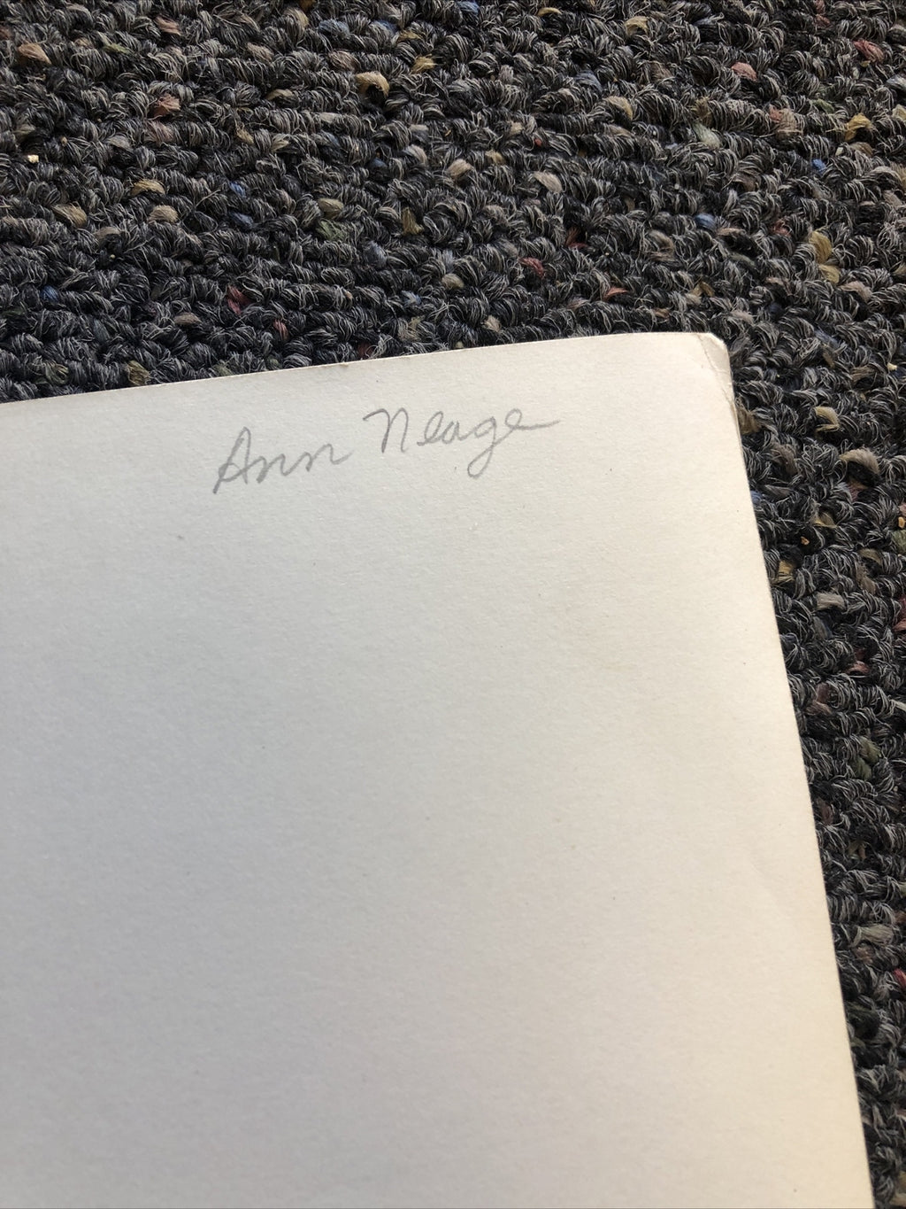 Rare Vintage Original Unpublished Photo Of ANN NEAGE 10”x7.5”6