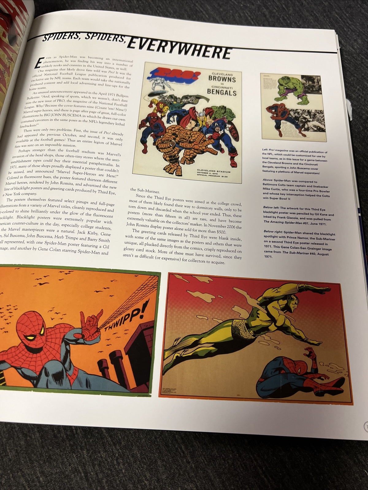 Spider-Man the Icon: The Life and Times of a Pop Culture Phenomenon (2007)3