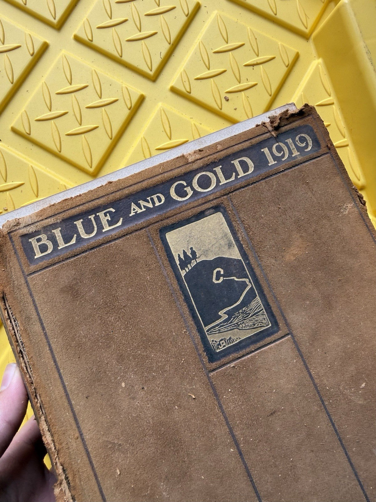 1919 Blue and Gold University of California Berkeley UC Berkeley Yearbook Vol 451