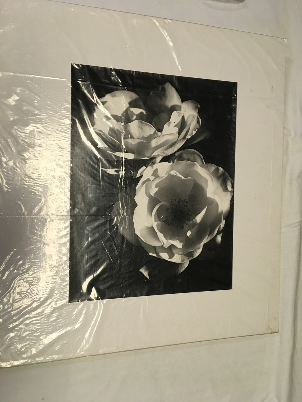 Black And White Flowers Art Print (vintage)0