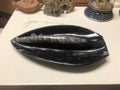 Natural Orthoceras Fossils Leaf Shape Stone Decoration0