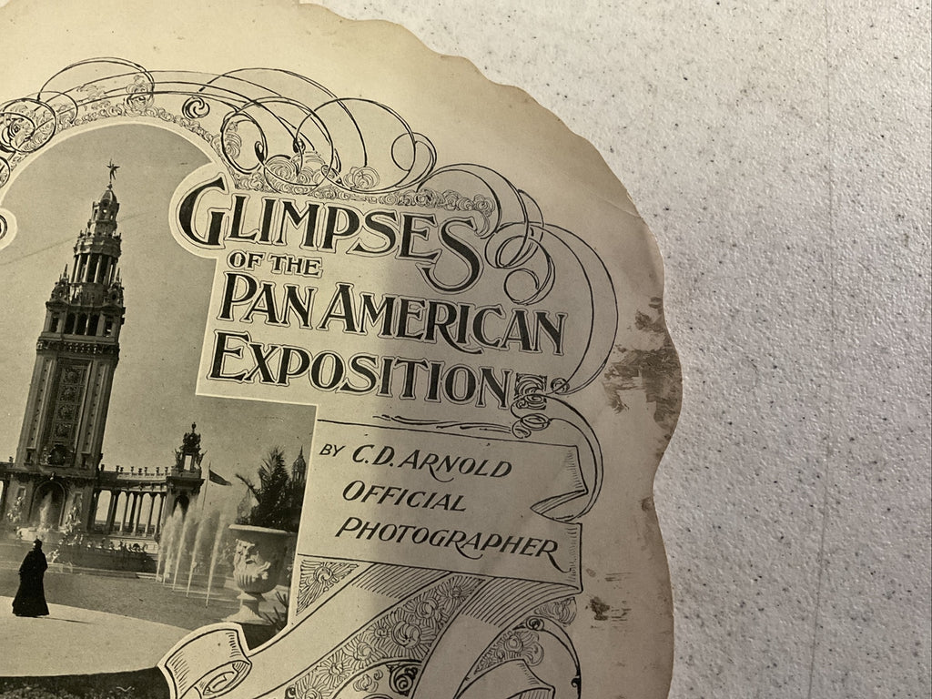 Glimpses of the Pan American Exposition by C.D. Arnold, 19015