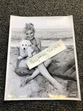 RARE Original Unpublished Photo Of Yvette Mimieux W/ Puppy At The Beach 10”x8”0
