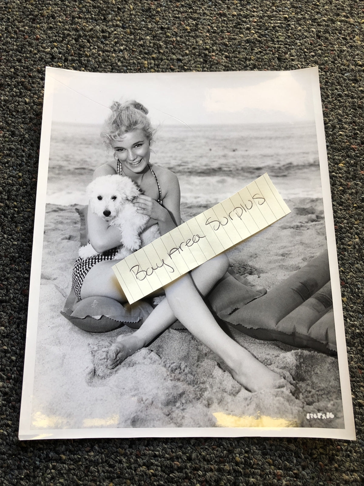 RARE Original Unpublished Photo Of Yvette Mimieux W/ Puppy At The Beach 10”x8”0