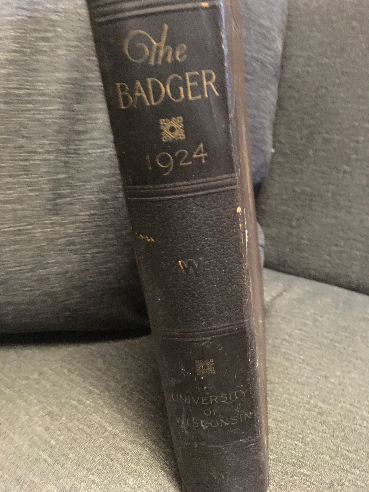 THE BADGER YEARBOOK 1924 (1923) UNIVERSITY OF WISCONSIN Volume 38 The Junio Clas2