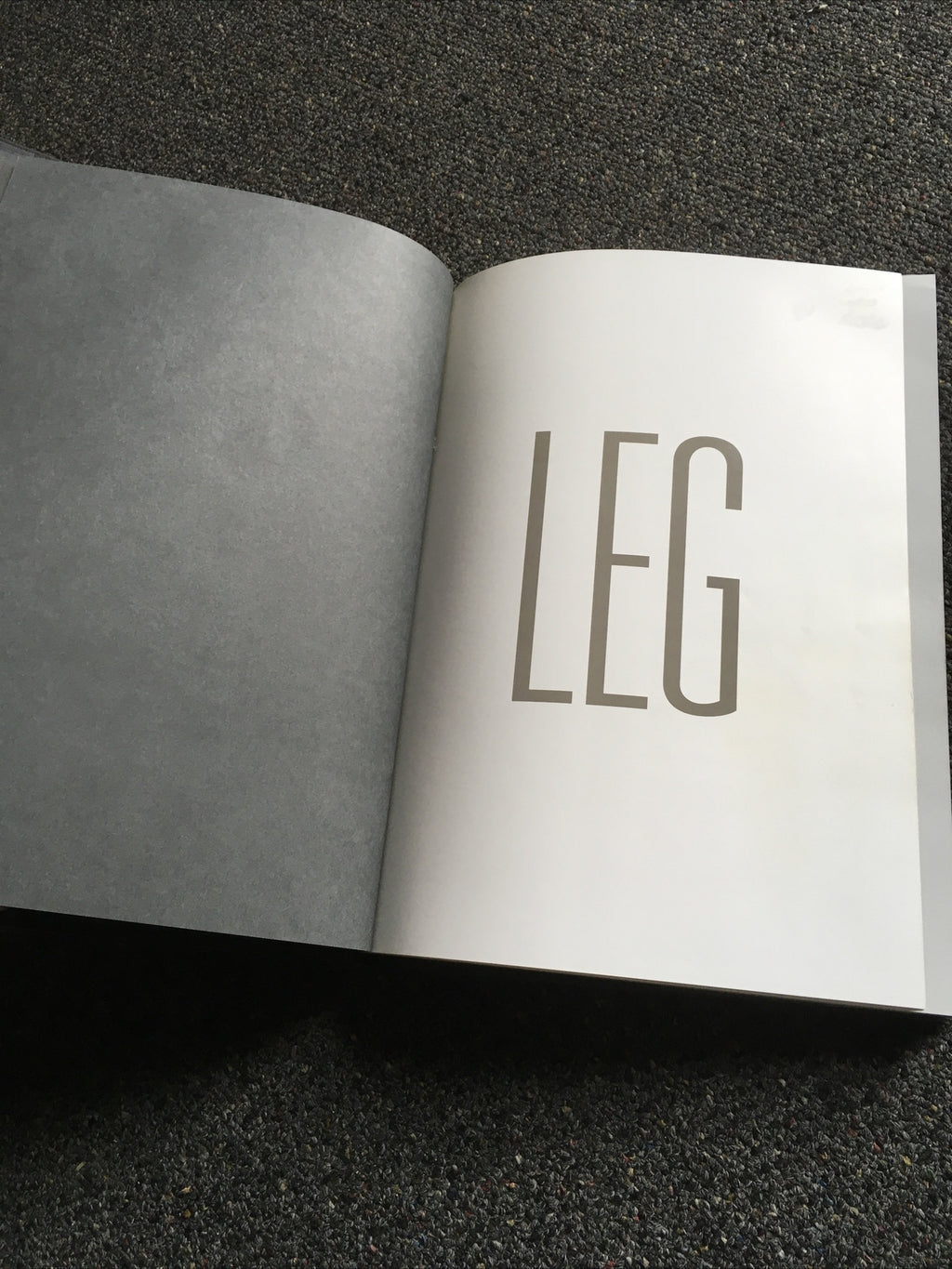 Photography / Art / Fashion Book LEG foreword by Donna Karan1
