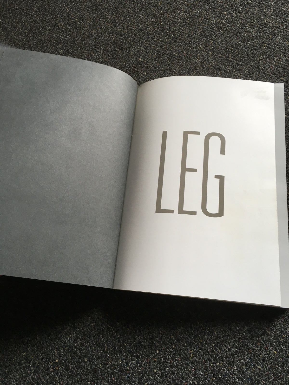 Photography / Art / Fashion Book LEG foreword by Donna Karan1