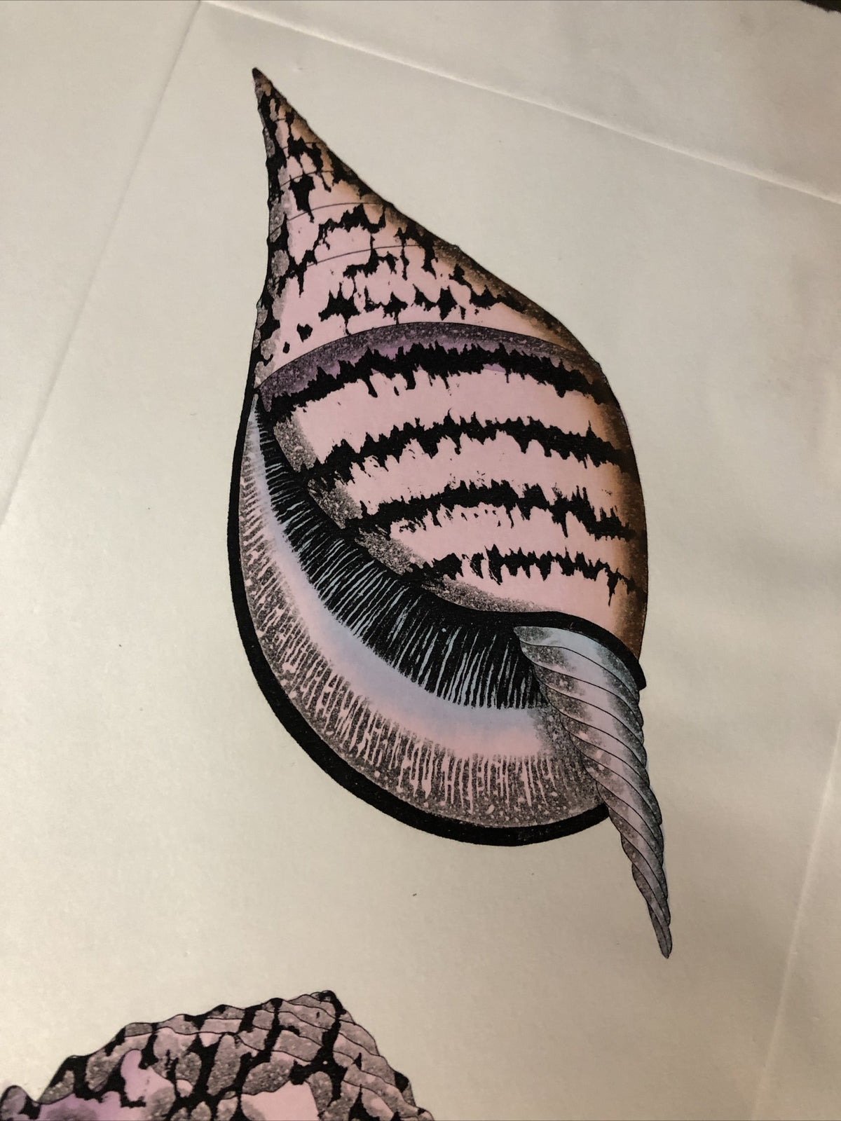 Dan Mitra Signed Etching “Nautilus” 36”x13”6