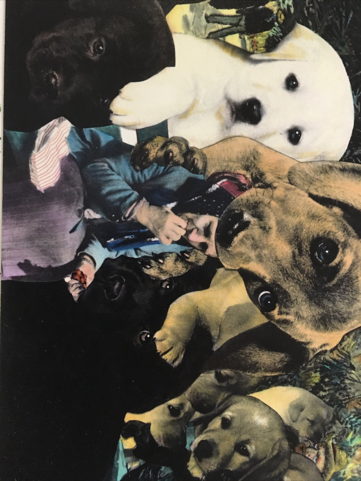 1991 Artist BARRY KITE Signed Print “Playful Puppies At Aries” Pop Art, 14”x11”6