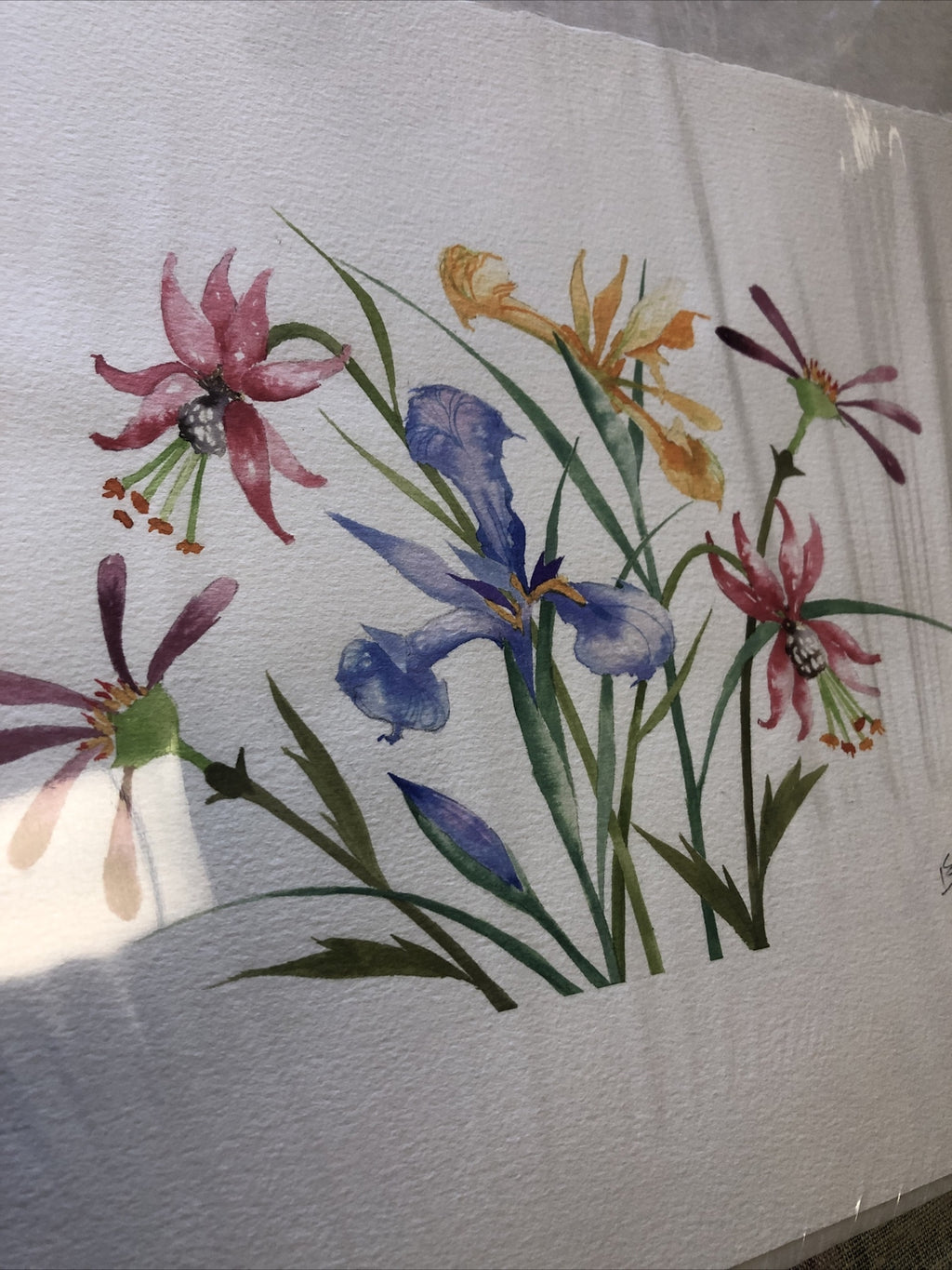 Vintage 1991 Floral Etching Singed By Bailey 15.5”x11”3