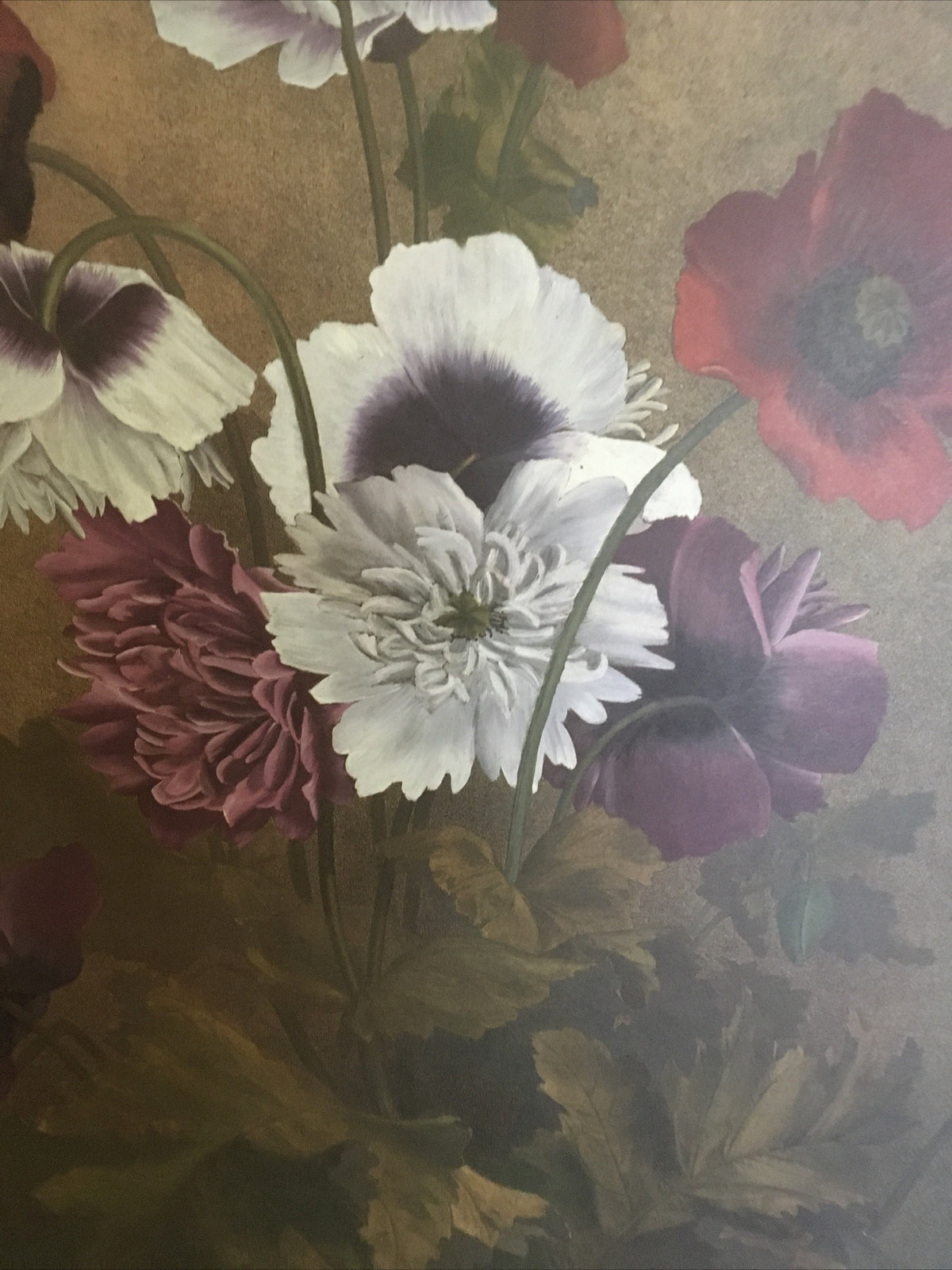 Poppy Vintage Botanical Illustration Print 18x25 in.2