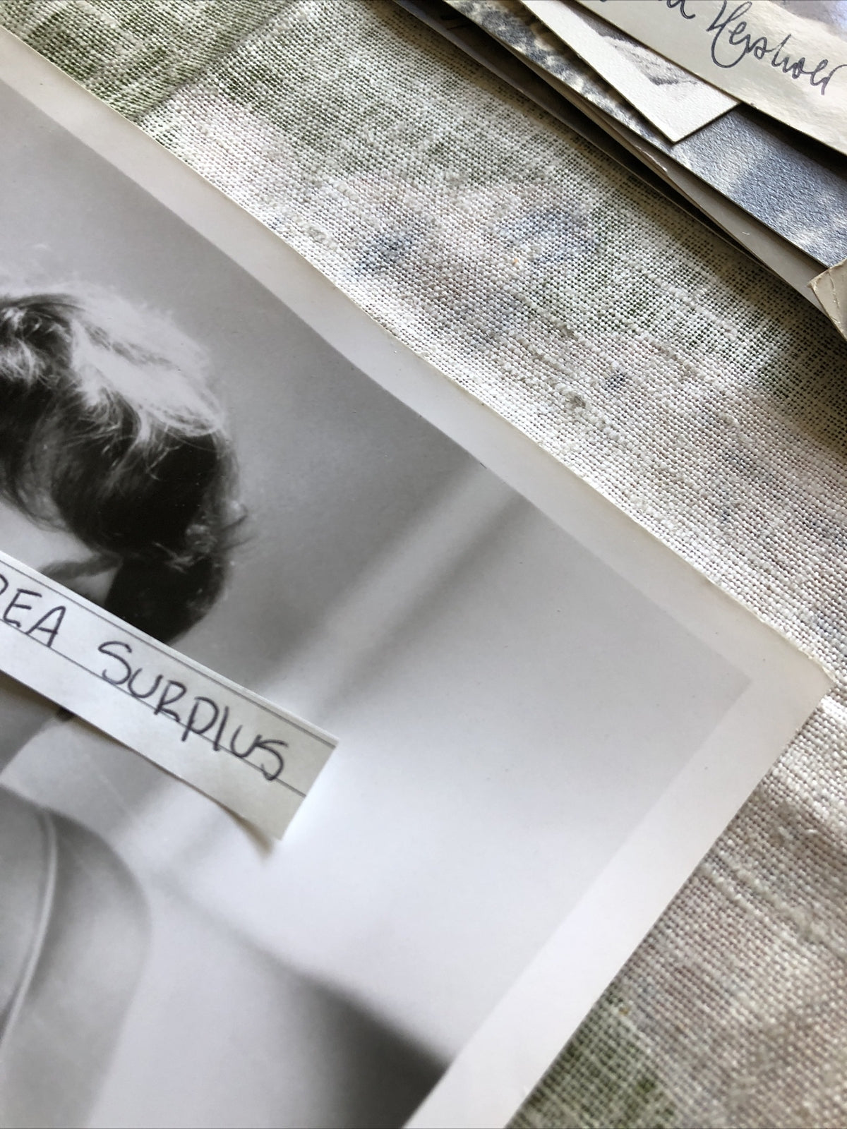 Rare Original Photo Of Gina Lollobrigida Unpublished Hollywood 10”x8”4