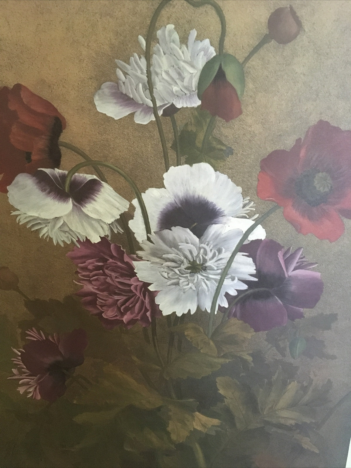Poppy Vintage Botanical Illustration Print 18x25 in.0