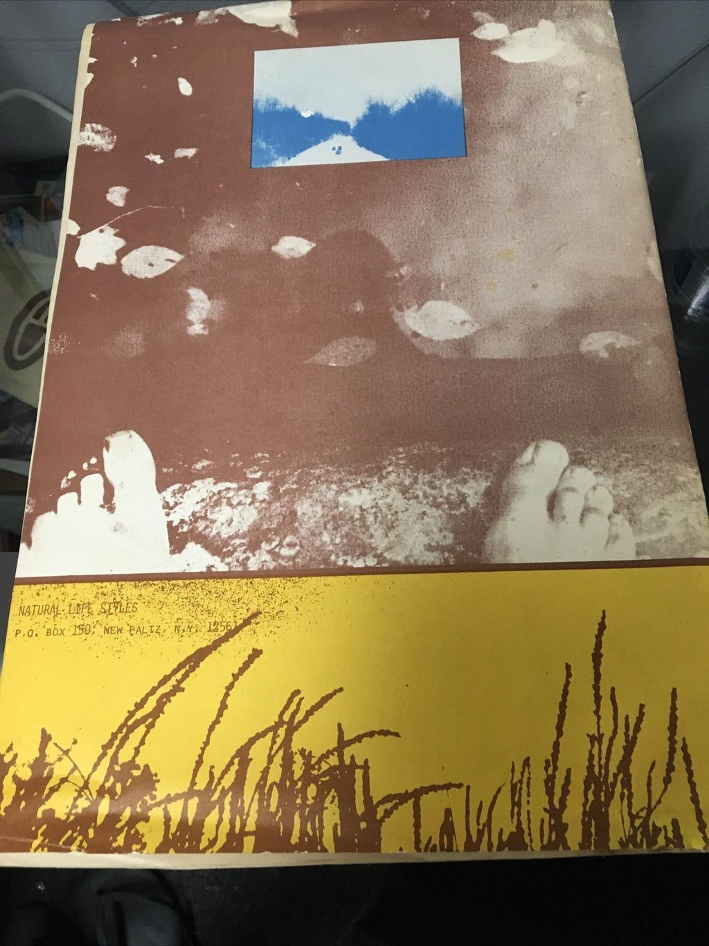 Rare 1971 NATURAL LIFE STYLES #1 Guide to Organic Living Euell Gibbons Yoko Ono3