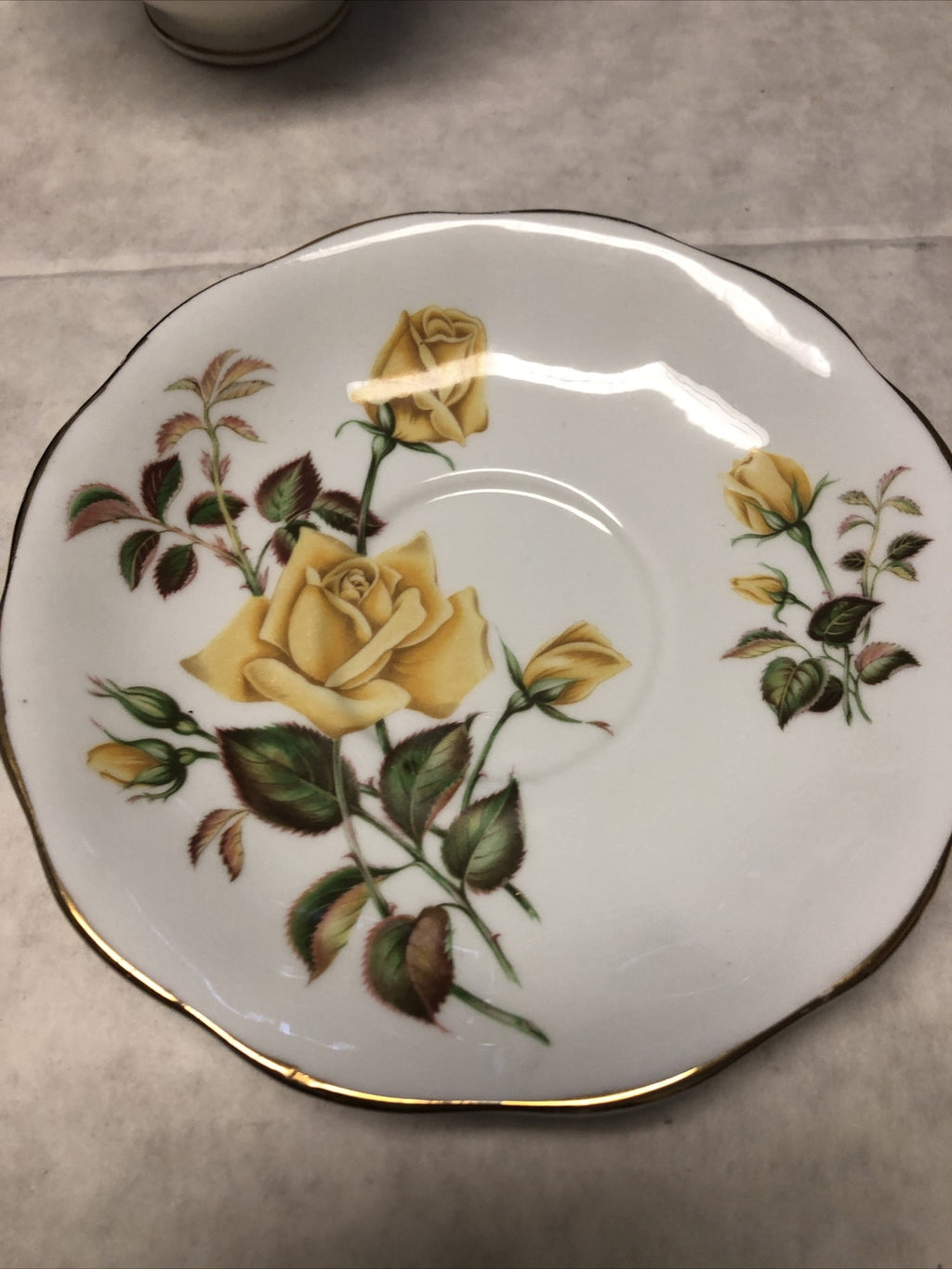 Vintage Duchess Autumn Tea Cup & Royal Standard Sunset Saucer Made In England4
