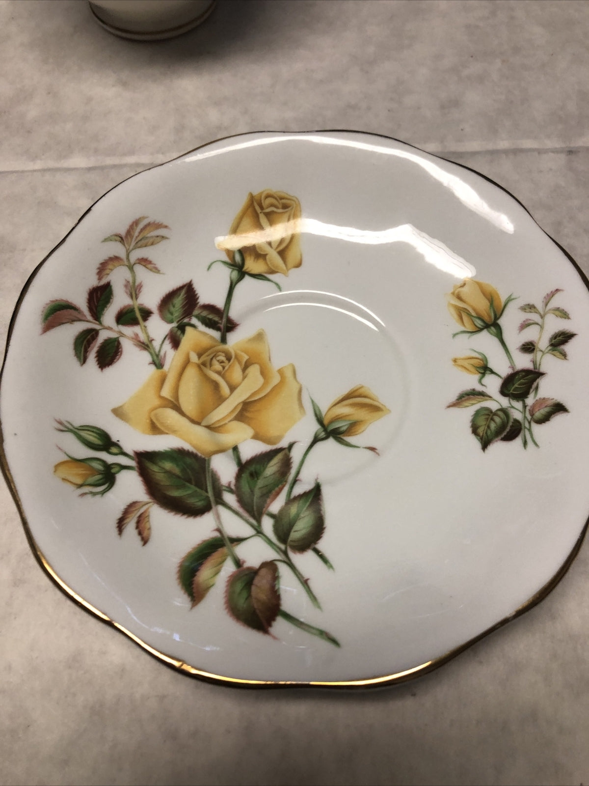 Vintage Duchess Autumn Tea Cup & Royal Standard Sunset Saucer Made In England4