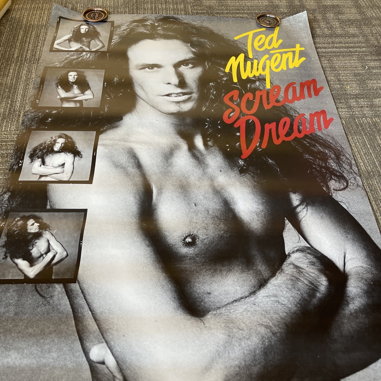 1980 TED NUGENT Scream Dream Record Store Promo Poster Large 33 X 48 #546