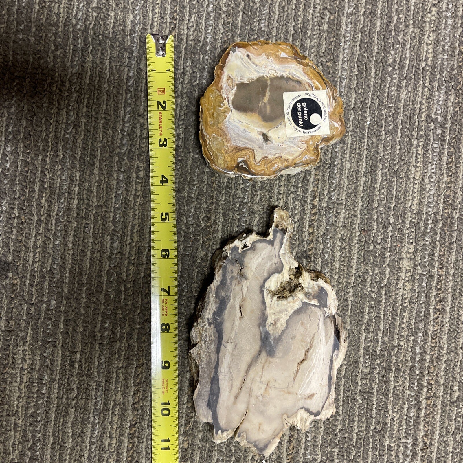 2 Cut Or Polished, Board-Cut,  Petrified Wood Specimen Lot Museum0