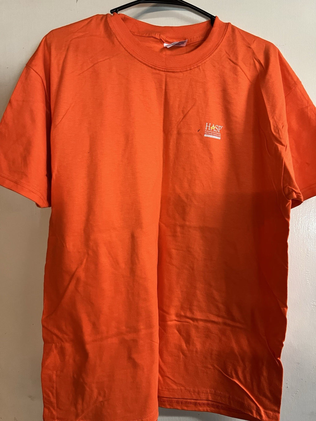 Vintage HASP Professional Safety Tee – Hanes Beefy-T “DON’T GET PLUCKED” Large2