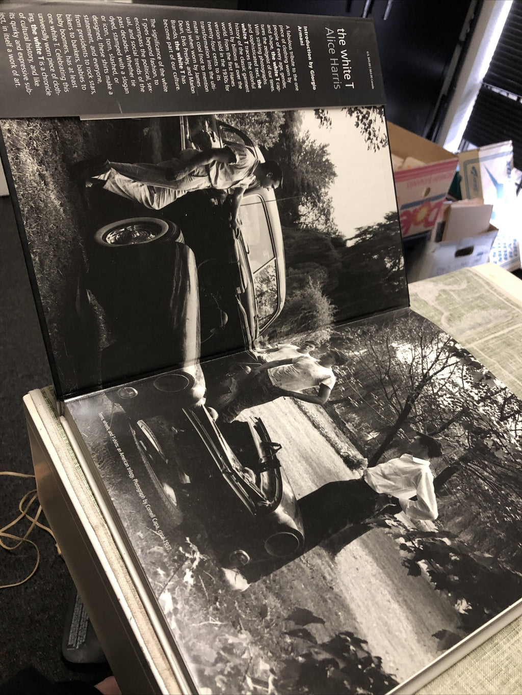 Alice Harris THE WHITE T 1st Edition 1st Printing2