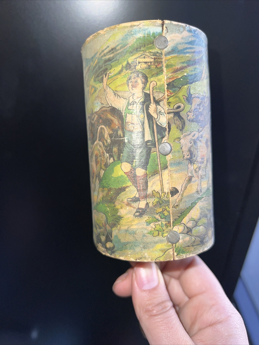 HTF Antique Celluloid Cylinder Handled Baby Rattle - Germany Scenery3