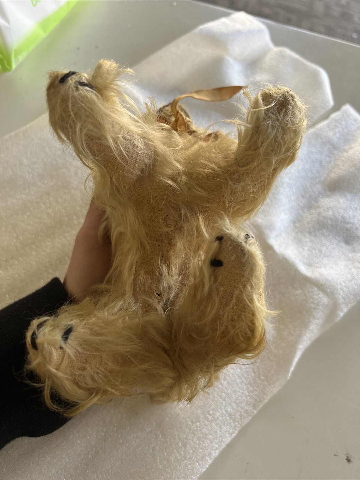 6” Antique 1920’s Shaggy Dog Possibly Real Hair?5