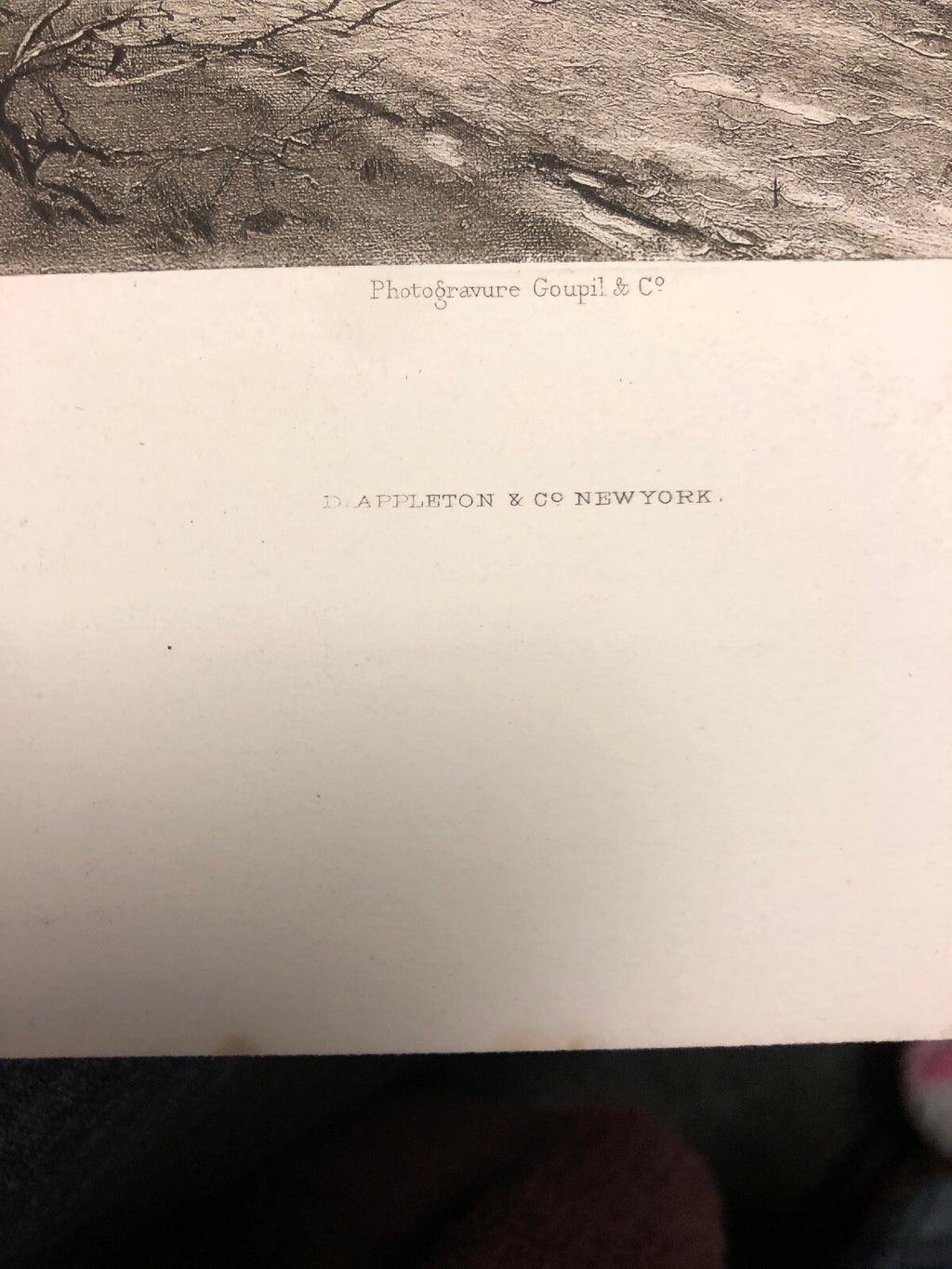W H Shelton A Recollection Of Gellyshring Photogravure Group 12x172