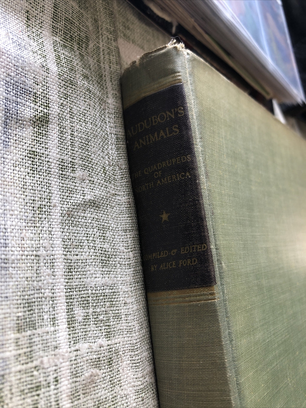 AUDUBON'S ANIMALS: The Quadrupeds of North America ed. by Alice Ford - 19511