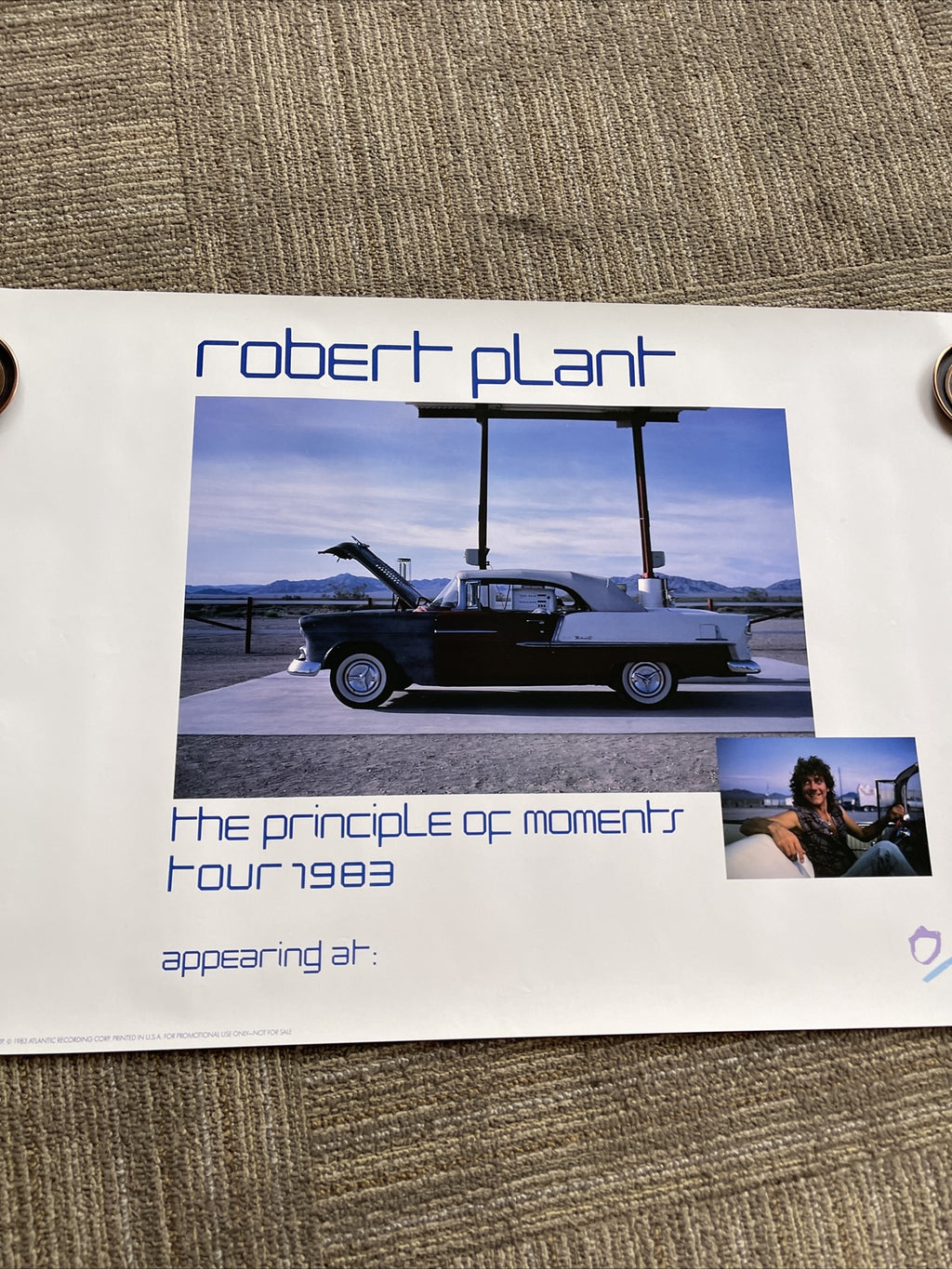 #198 1983  Robert Plant Record Store Promo Poster RARE  20” X 30”7