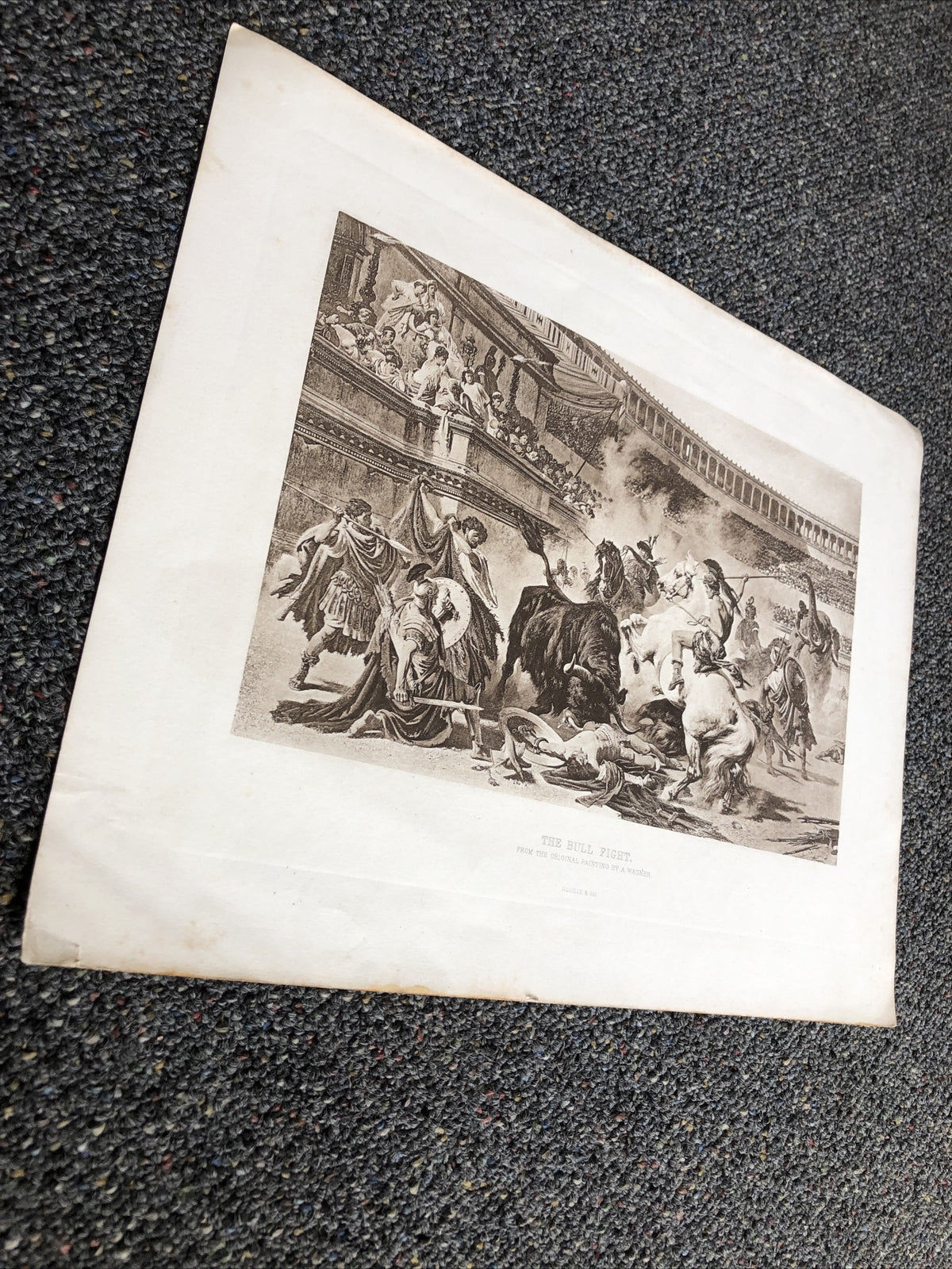 Bull Fight In The Roman Arena By A.Wagner 1889 Photogravure Treasures Of Art1