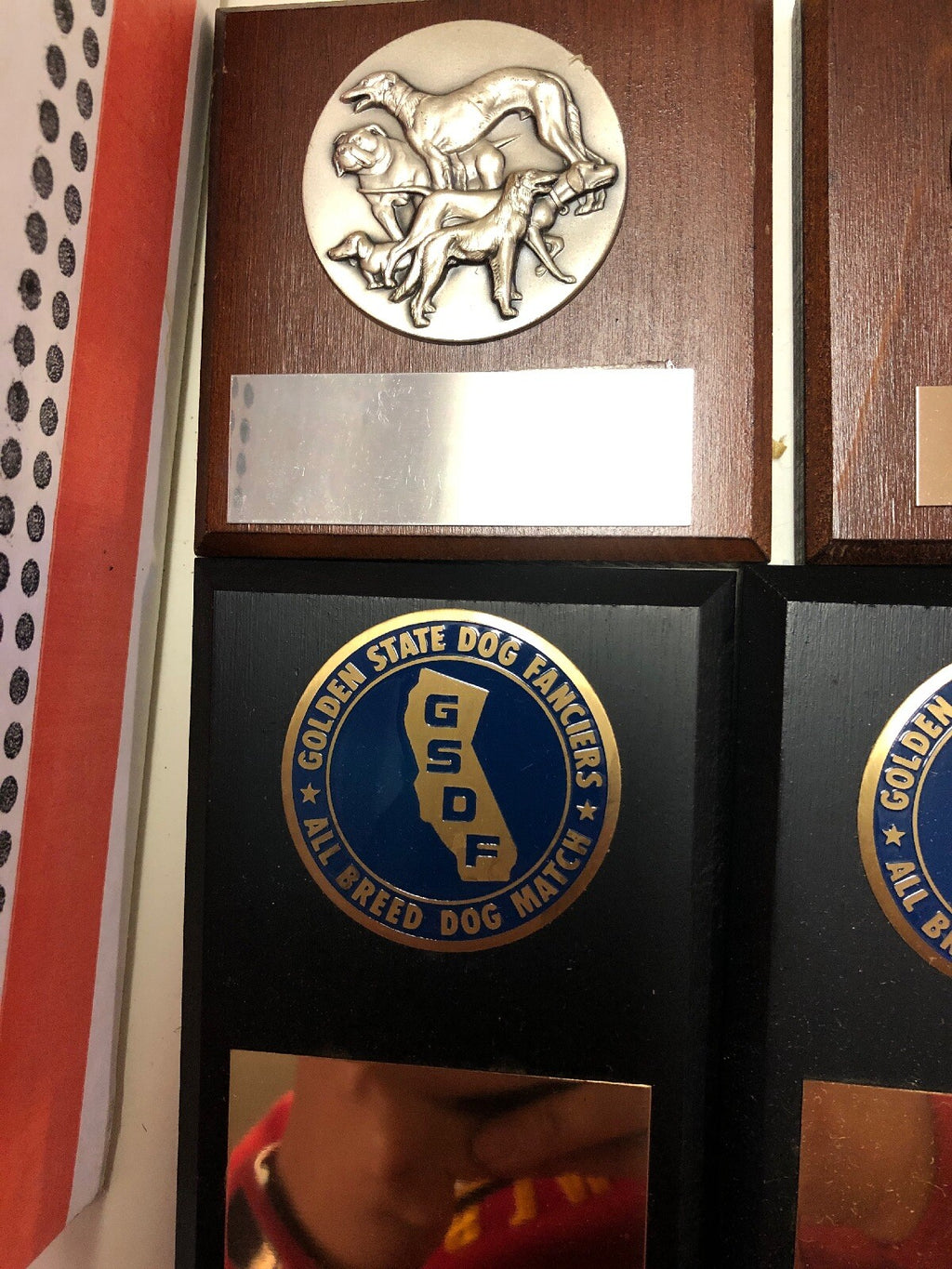 Lot 11 Chief Solano, Berkeley, Reno Kennel Club Golden State Dog Fanciers Medal2