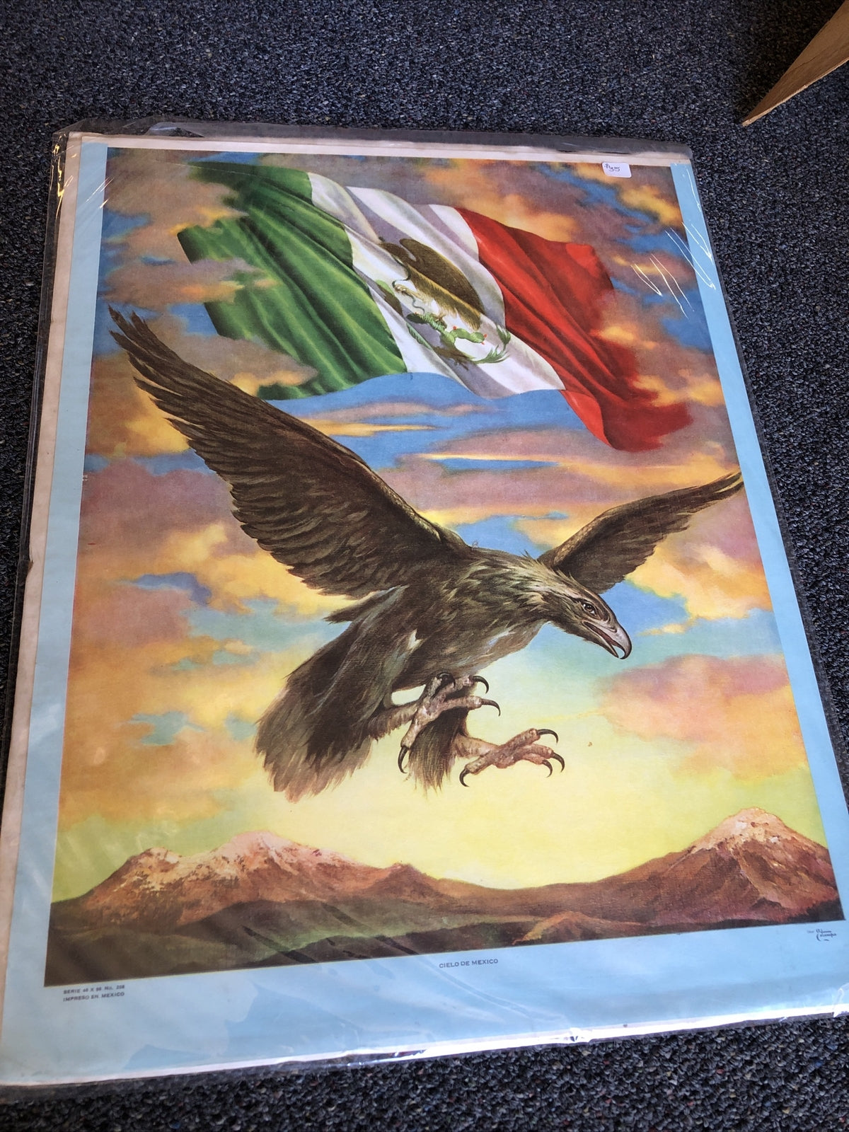 Cielo De Mexico Poster 21”X16”0