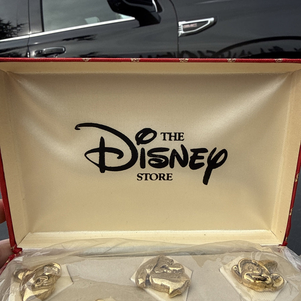 Disney 3D Gold Tone Snow White Seven Dwarfs In Original Box pin set of 7 pins4