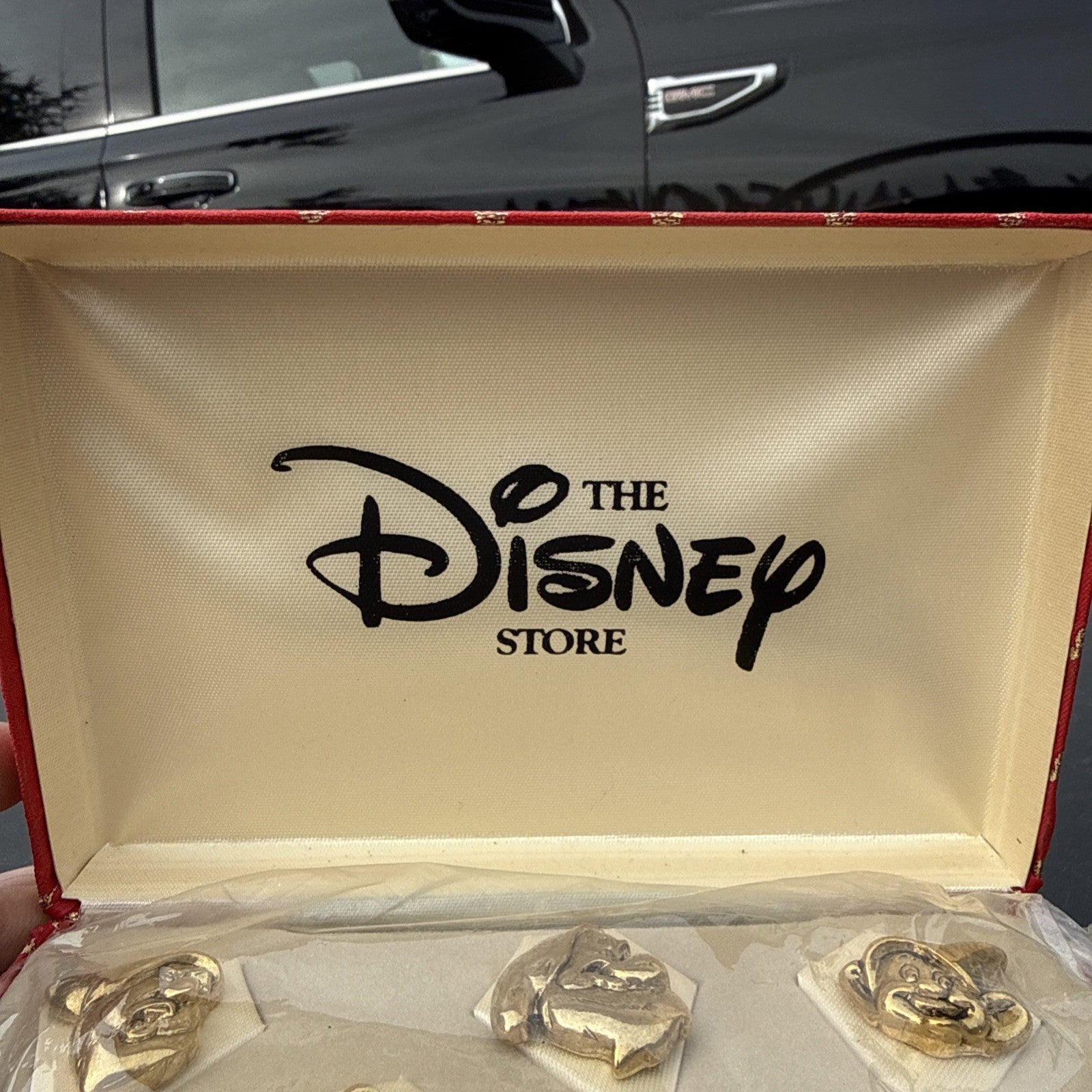 Disney 3D Gold Tone Snow White Seven Dwarfs In Original Box pin set of 7 pins4
