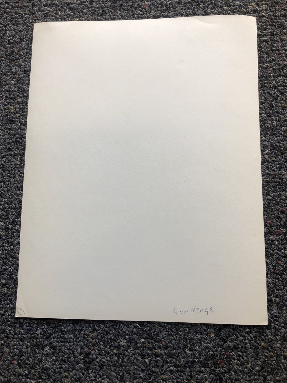 Rare Vintage Original Unpublished Photo Of ANN NEAGE 9.5”x7.5”6