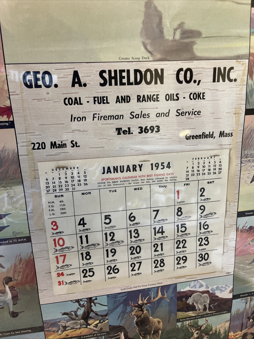 Rare VTG Geo Sheldon Coal Coke Fuel Greenfield MA 1954 Calendar Game Birds3