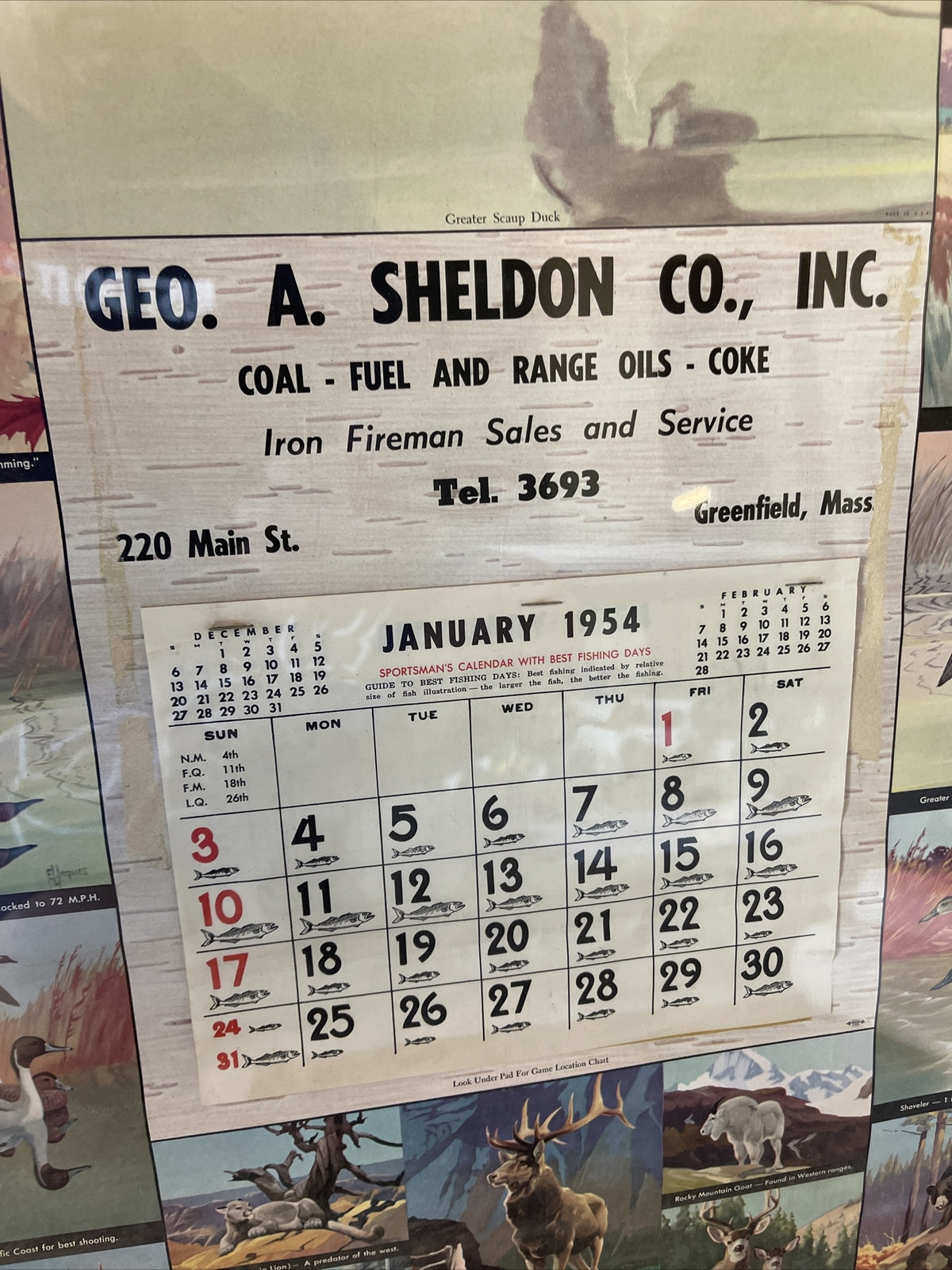 Rare VTG Geo Sheldon Coal Coke Fuel Greenfield MA 1954 Calendar Game Birds3