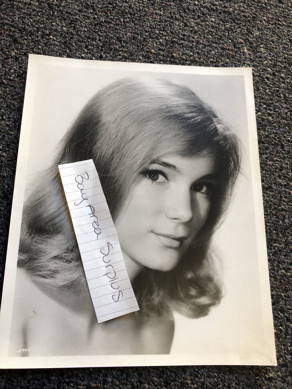 RARE Original Vintage Unpublished Photo Of Yvette Mimieux 10”x8” Glamour Shot0