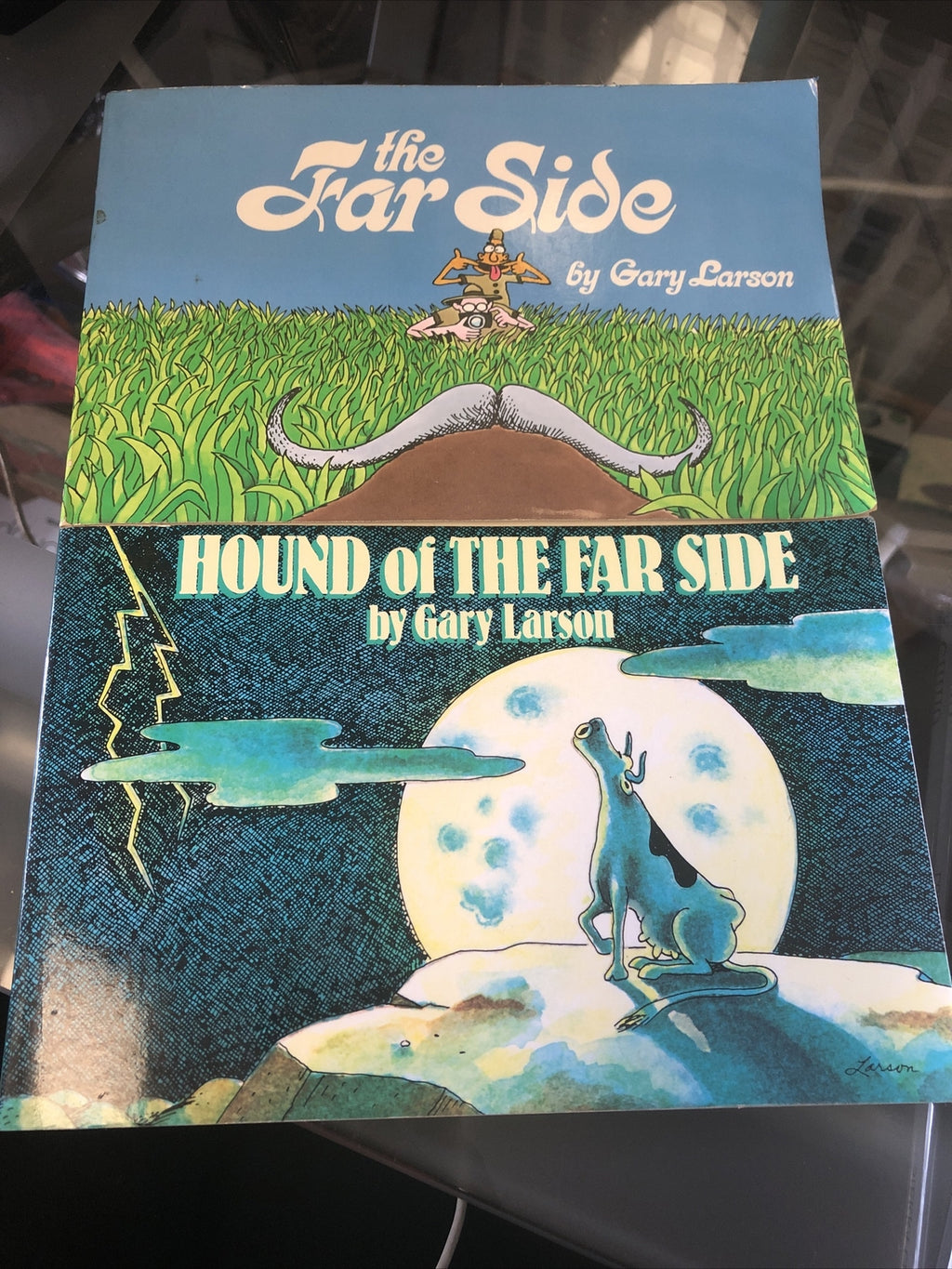 Lot Of 2 Gary Larson Books - Hound Of The Far Side & The Far Side0